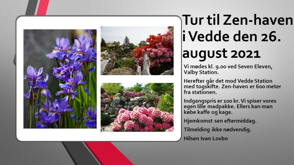 Zen-haven i Vedde 26. august 2021